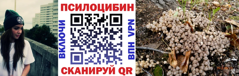 Галлюциногенные грибы Psilocybe  Вилюйск 